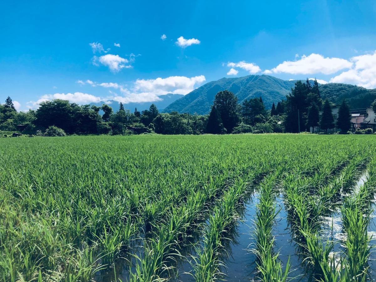 Summer Leaves Hakuba Exterior foto